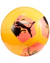 Puma Voetballen | Kwaliteit Ballen voor elke Speler | www.lahayasport.nl
