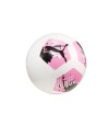 Puma Voetballen | Kwaliteit Ballen voor elke Speler | www.lahayasport.nl