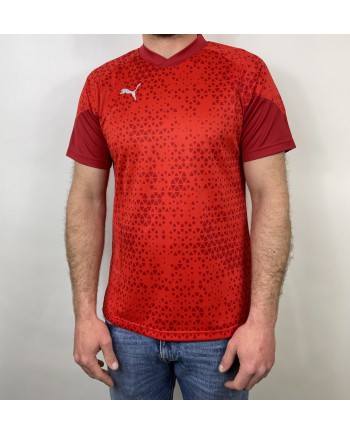 Puma Heren T-shirt | Trendy, Comfortabel en Betaalbaar | www.lahayasport.nl