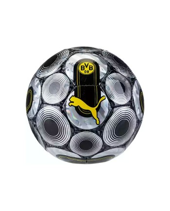 Puma Voetballen | Kwaliteit Ballen voor elke Speler | www.lahayasport.nl