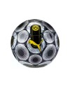 Puma Voetballen | Kwaliteit Ballen voor elke Speler | www.lahayasport.nl