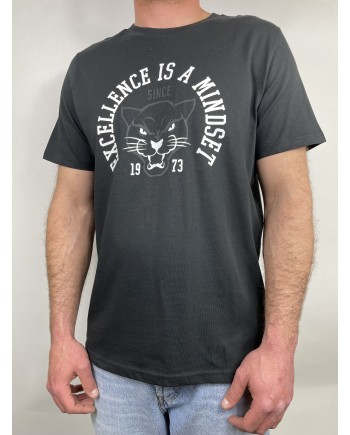 Puma Heren T-shirt | Trendy, Comfortabel en Betaalbaar | www.lahayasport.nl